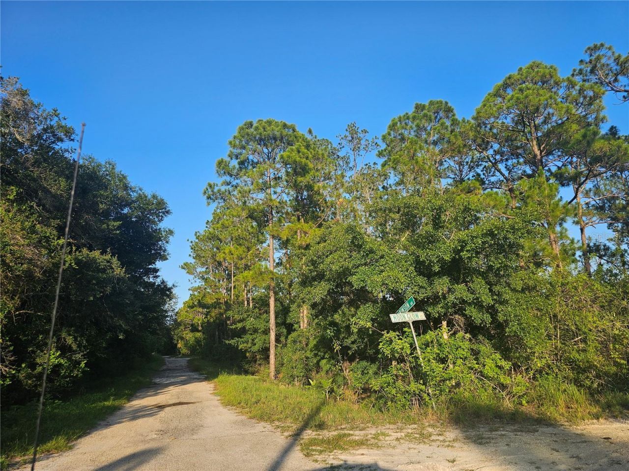 233 Moon Glow Court, Lake Placid, FL 33852 Photo