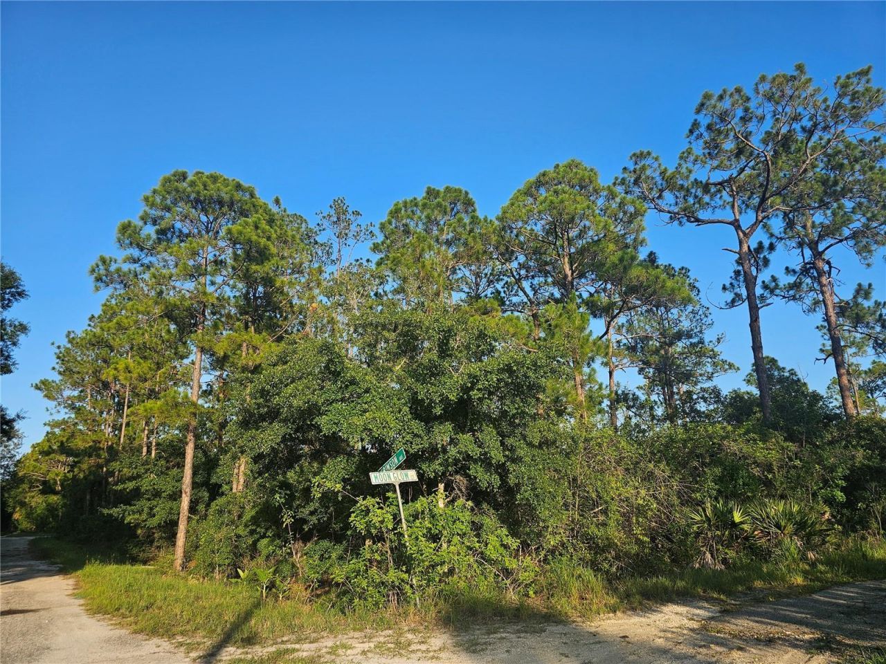 233 Moon Glow Court, Lake Placid, FL 33852 Photo