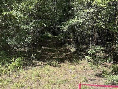 1 Parkers Ferry Road, Adams Run, SC 29426