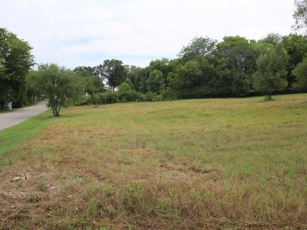 Lot 12 4th Street , Yellville, AR 72687