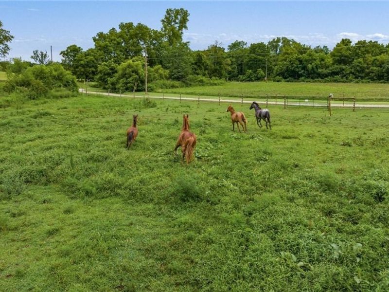 7360 Jones Road, Nashport, OH 43830 Photo 40