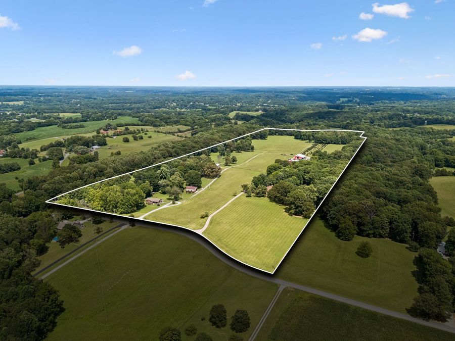 Property Image 100