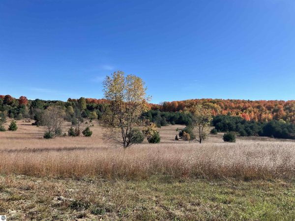 50 Campbell Road SE, Fife Lake, MI 49633