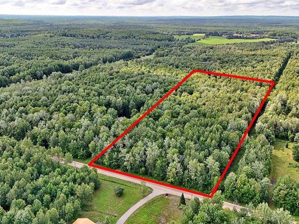 Phelps Road, Lake City, MI 49651
