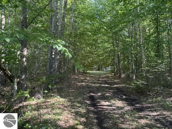 Phelps Road, Lake City, MI 49651