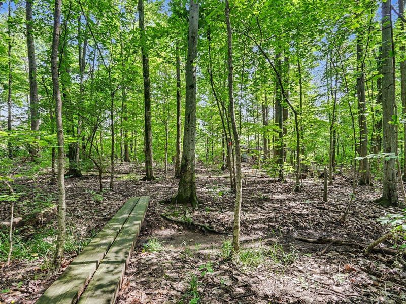 4354 Big Sky Court, Columbus, OH 43230 Photo 56