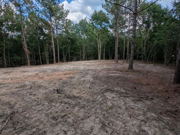 Tbd Peyton Drive, Eagle Springs, NC 27242