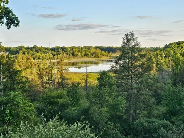 5464 Clear Lake Road, Grass Lake, MI 49240
