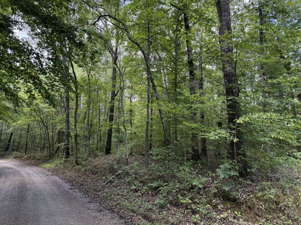 0 Hurricane Creek Road , Stewart, TN 37175