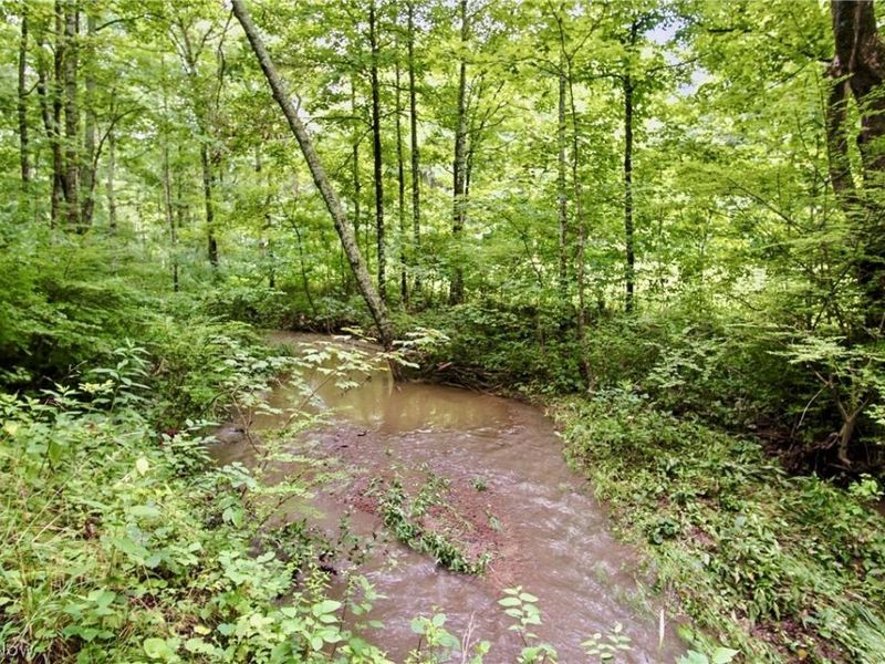 Homestead Drive , New Concord, OH 43762 Photo 15