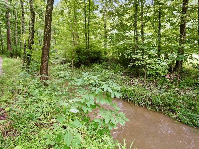 Homestead Drive , New Concord, OH 43762 Photo 17