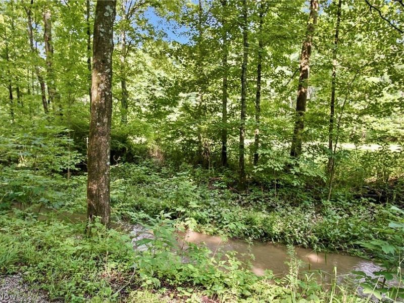 Homestead Drive , New Concord, OH 43762 Photo 23