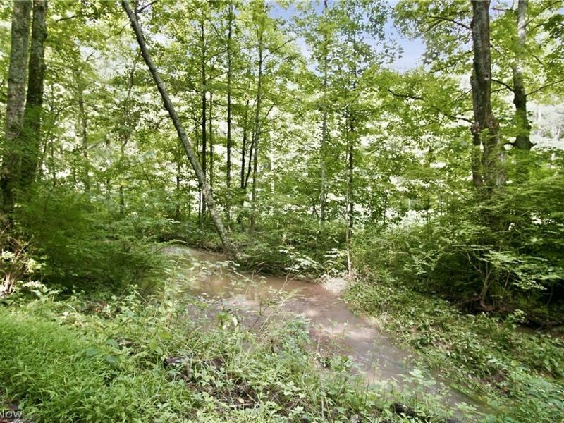 Homestead Drive , New Concord, OH 43762 Photo 27