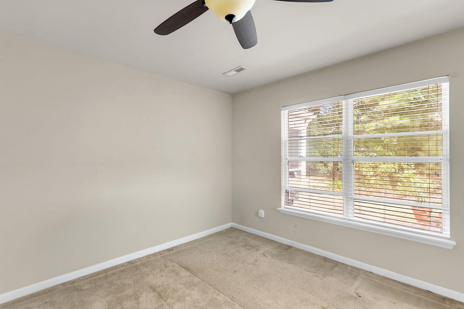 210 Salkahatchie Photo 19