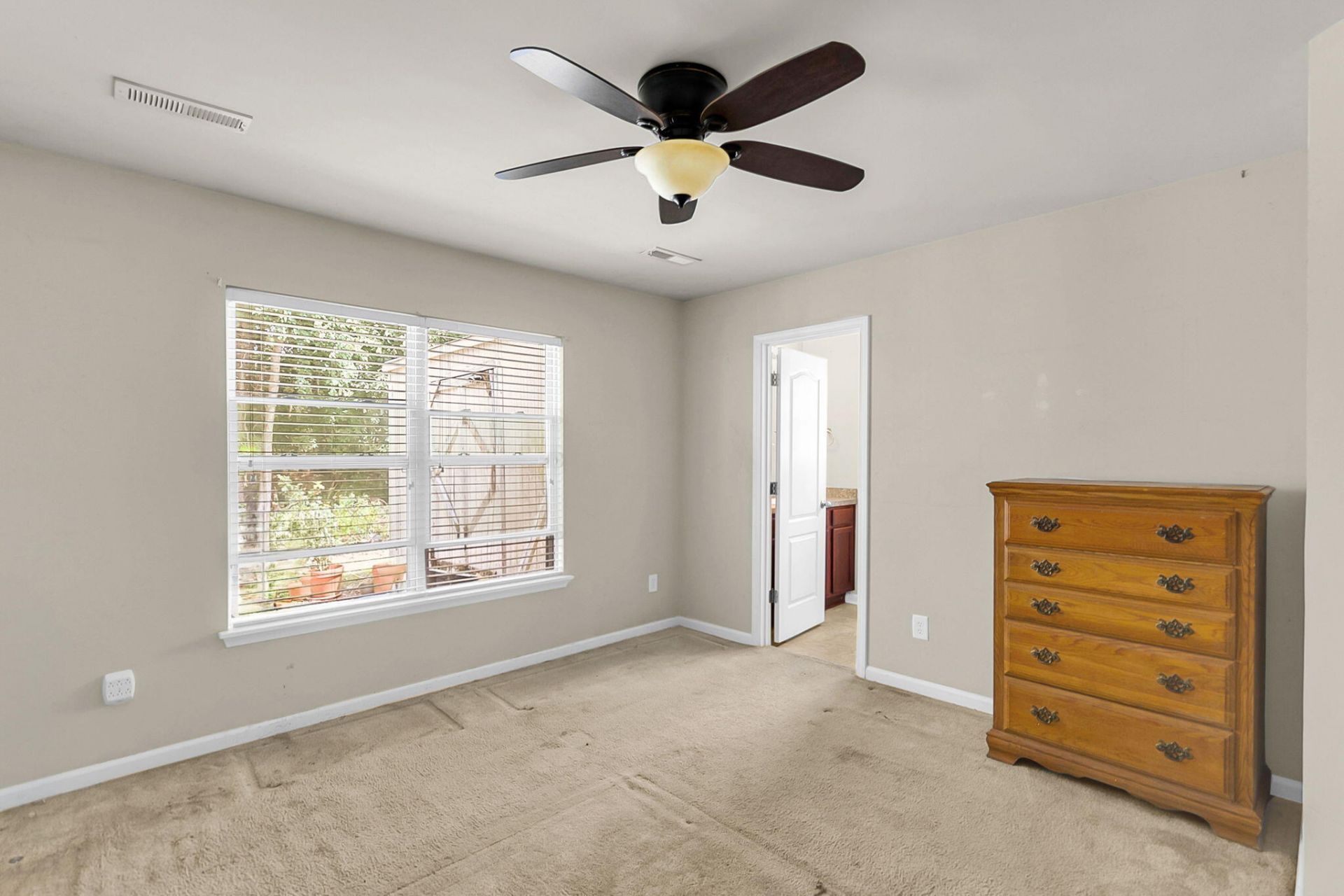 210 Salkahatchie Photo 20