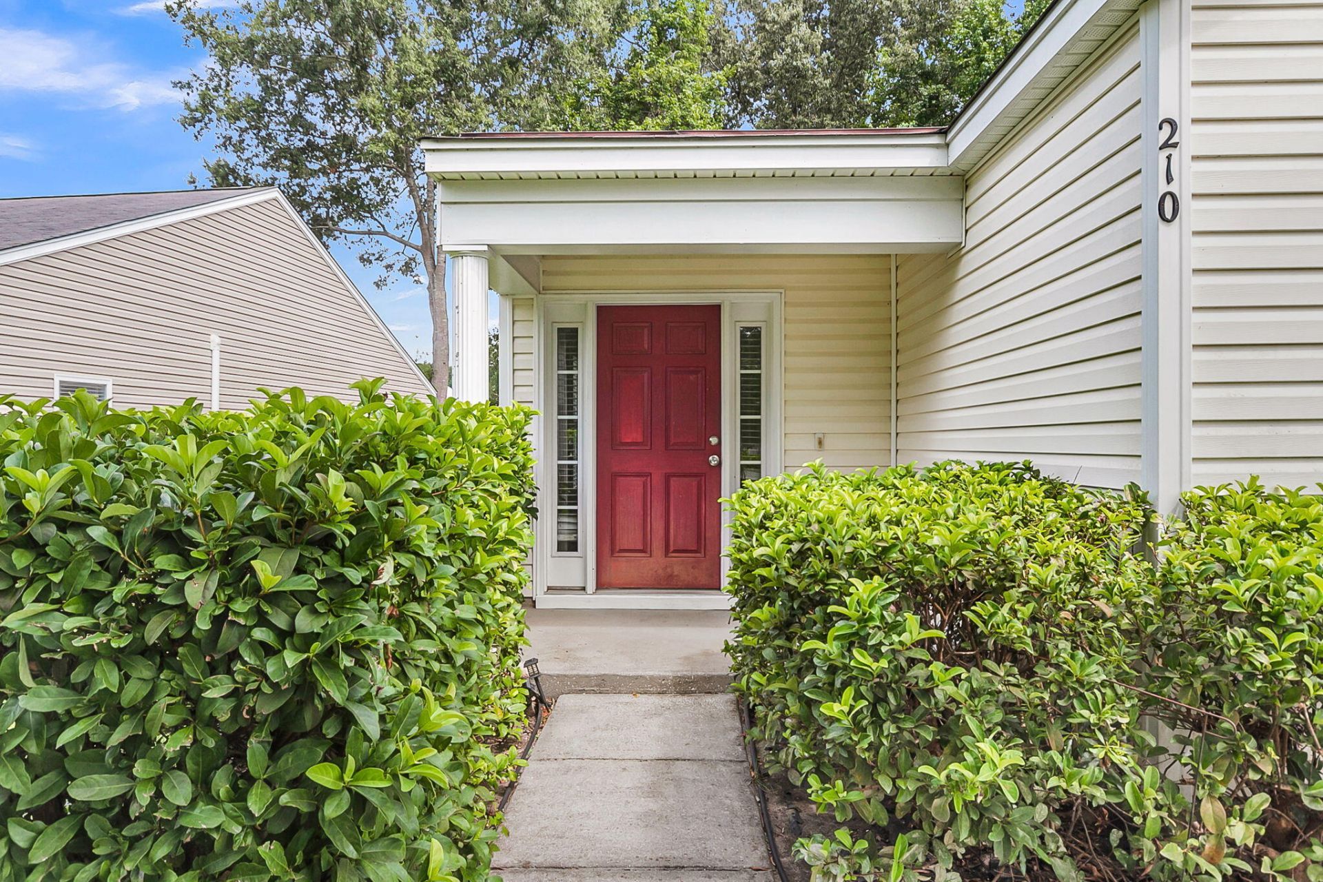 210 Salkahatchie Photo 6