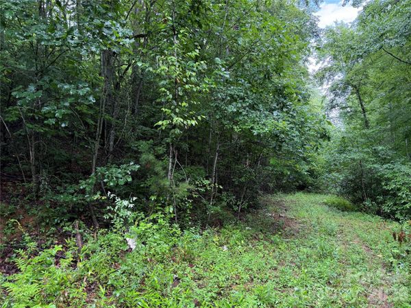 Off Donald McCall Road , Balsam Grove, NC 28708