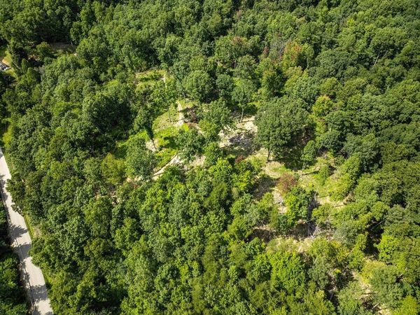 000 Hwy 1620 , 0live Hill, KY 41164