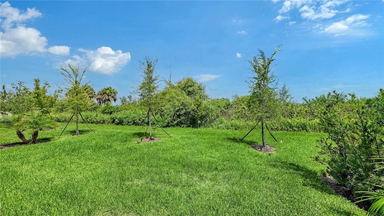 11829 Lilac Pearl Lane, Parrish, FL 34219 Photo