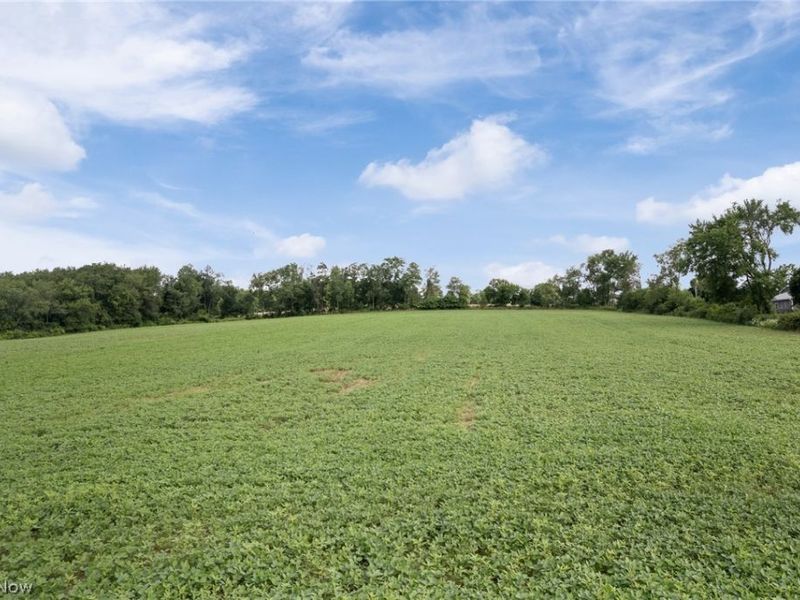 4069 Columbus Road, Wooster, OH 44691 Photo 6