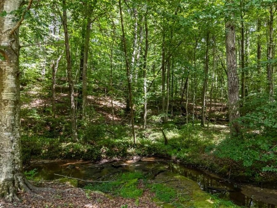 Property Image 94