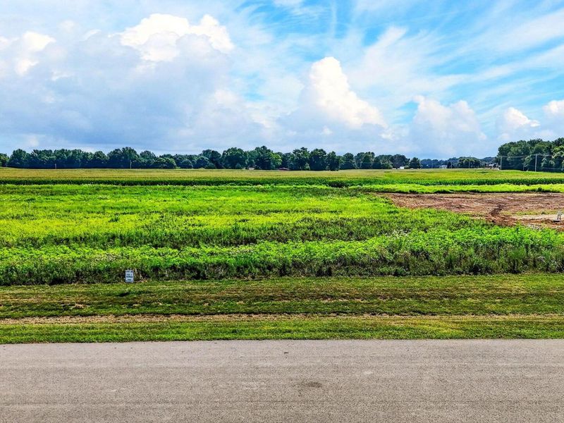 4090 Stone Hill Drive E, Unit Lot 28, Carroll, OH 43112 Photo 22