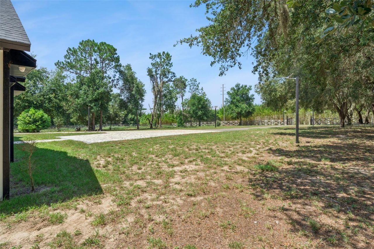 7739 N Cherry Lake Groves Road, Groveland, FL 34736 Photo