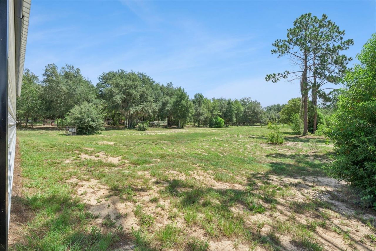 7739 N Cherry Lake Groves Road, Groveland, FL 34736 Photo