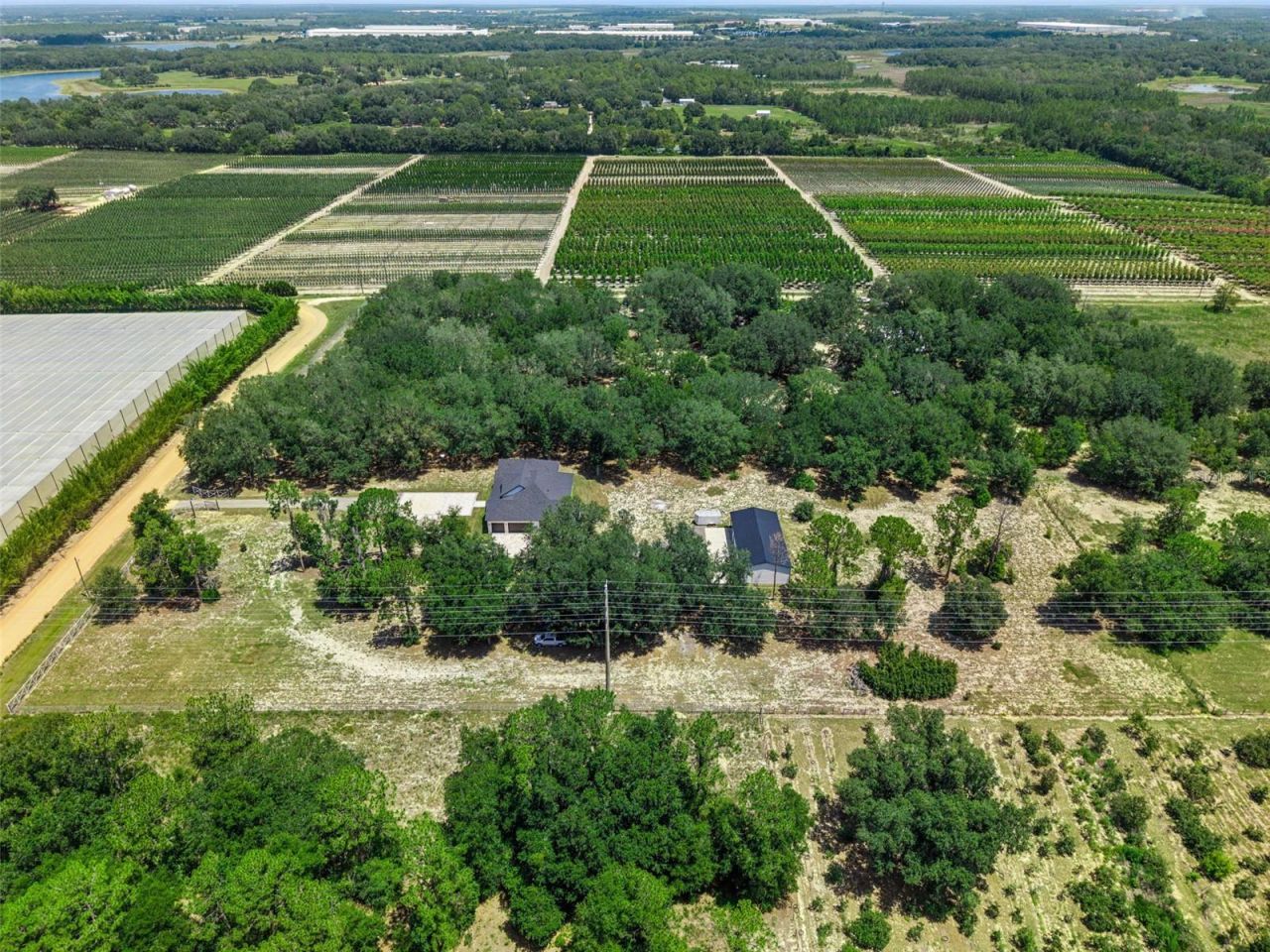 7739 N Cherry Lake Groves Road, Groveland, FL 34736 Photo