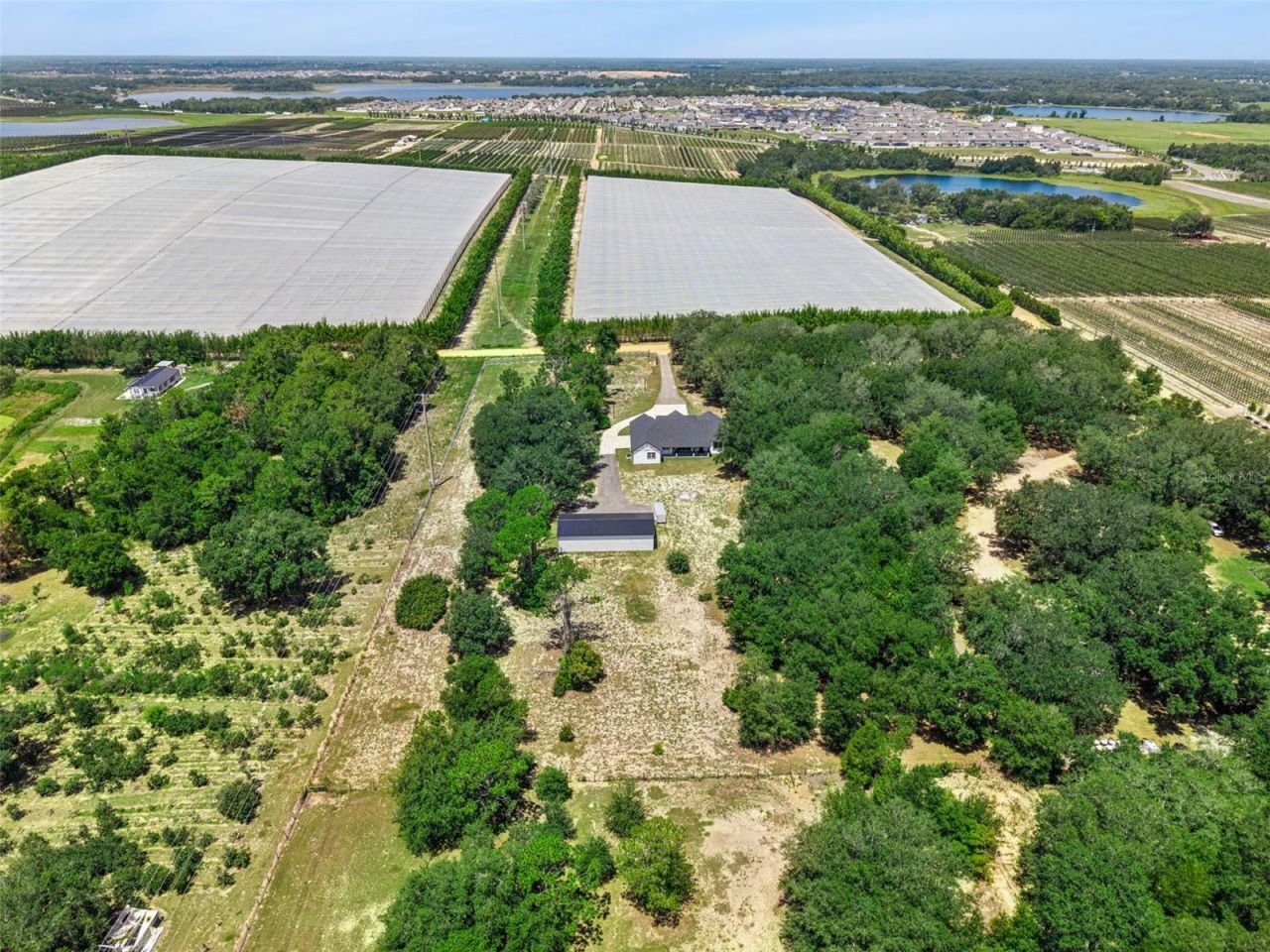 7739 N Cherry Lake Groves Road, Groveland, FL 34736 Photo