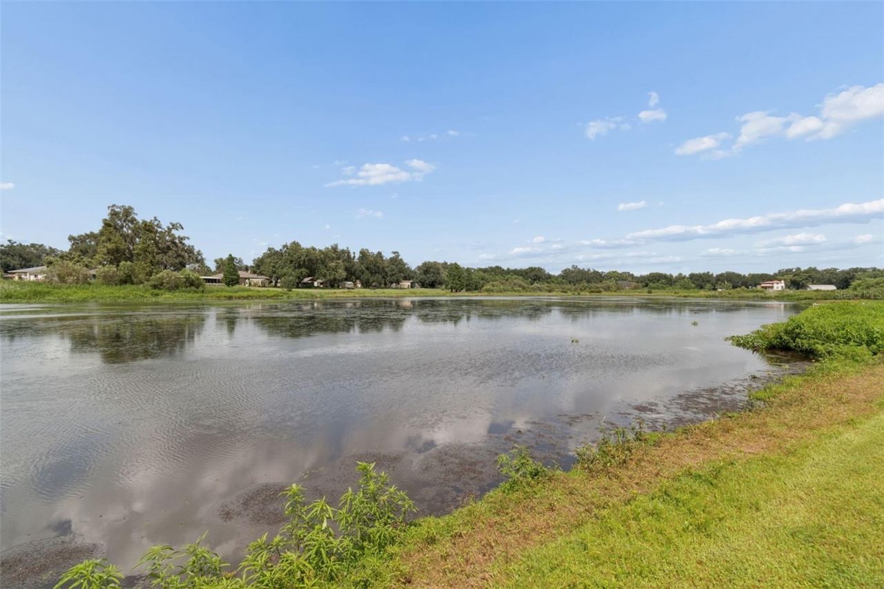 653 Timber Pond Drive , Brandon, FL 33510 Photo