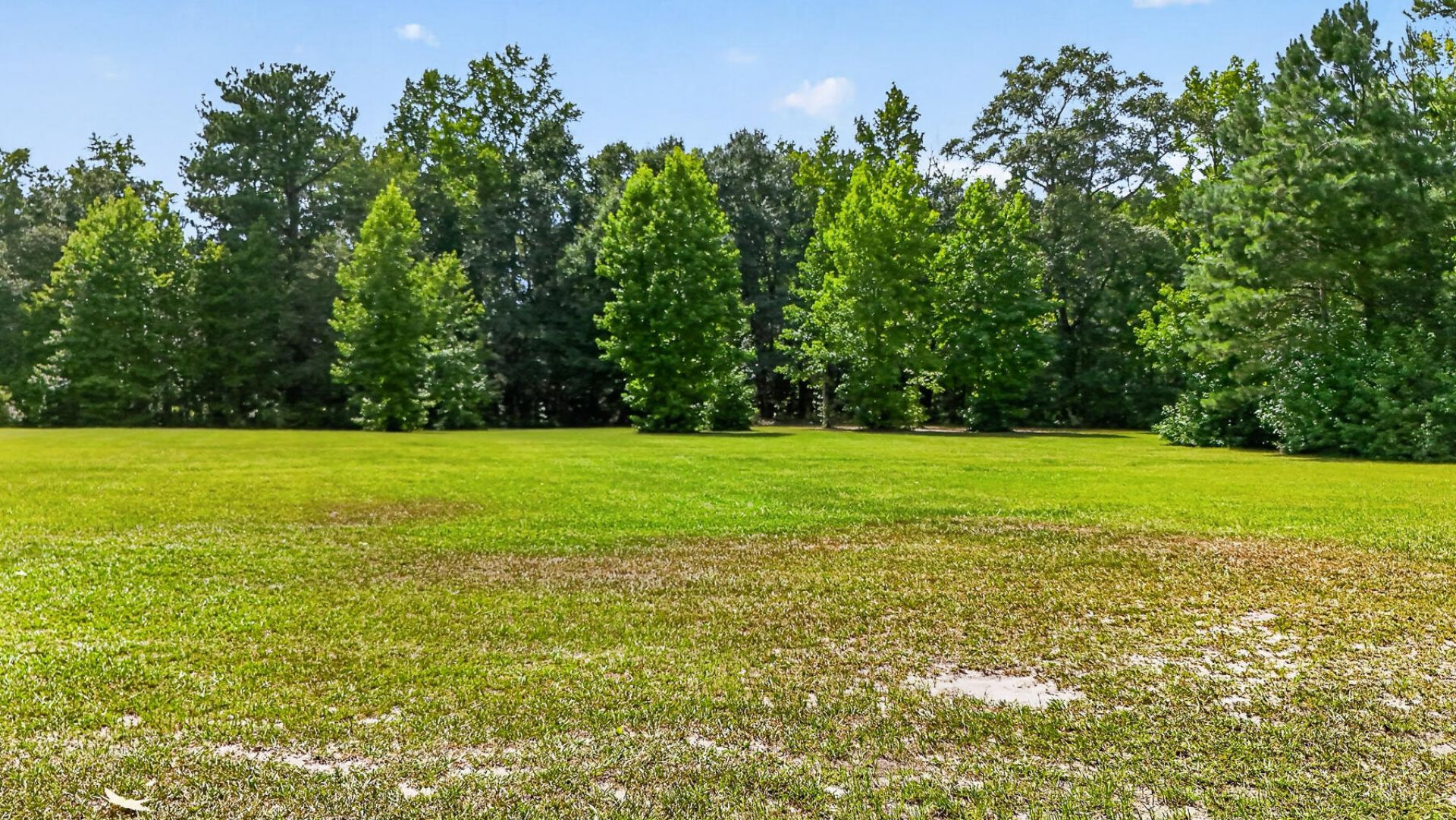 190 Miley Road Photo 31