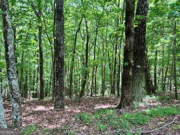 LT G667-G68 Mountain Oak Road, Ellijay, GA 30536