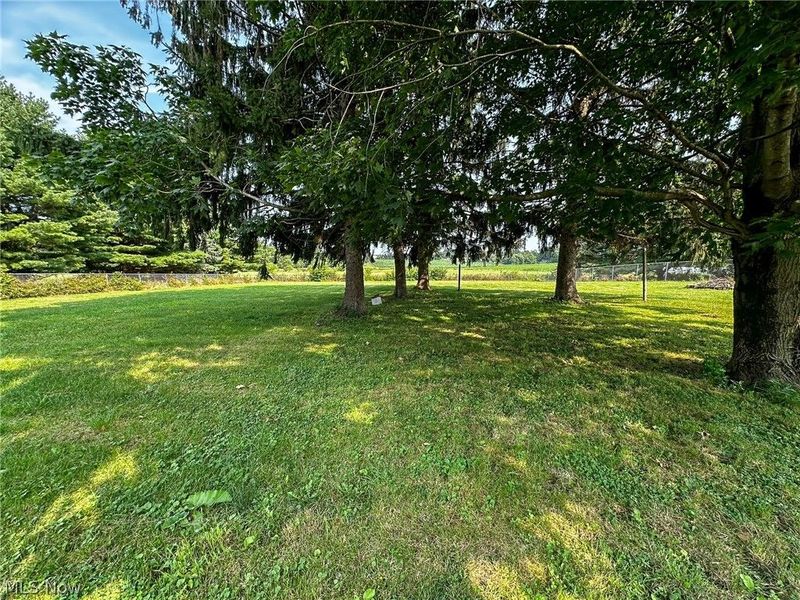 3570 Shepler Church Avenue SW, Canton, OH 44706 Photo 14