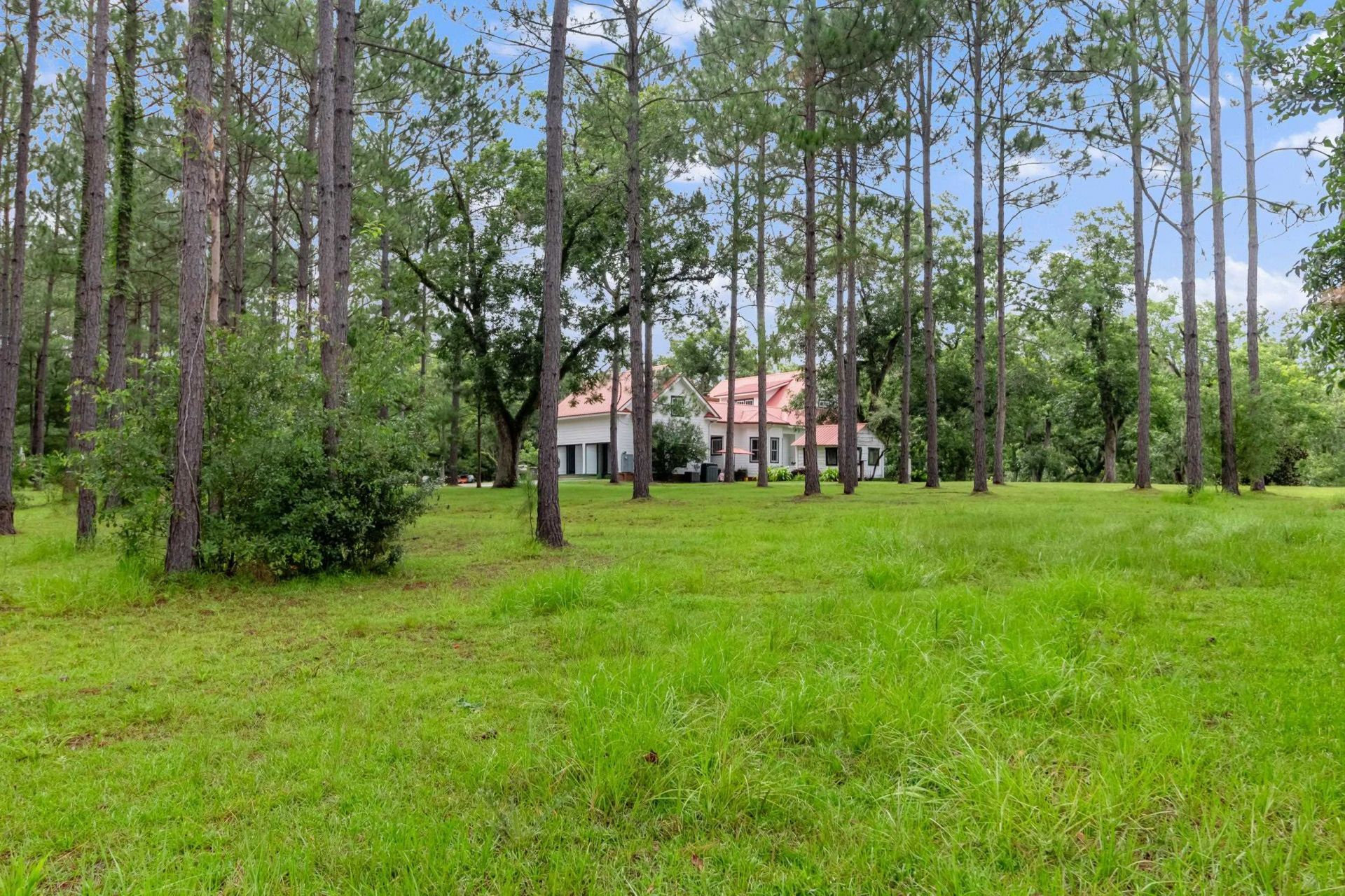 728 Turney Anderson Road, Monticello, FL 32344 Photo