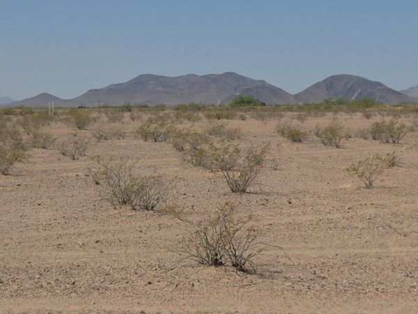 N 374th Avenue N, Unit 5E, Tonopah, AZ 85354