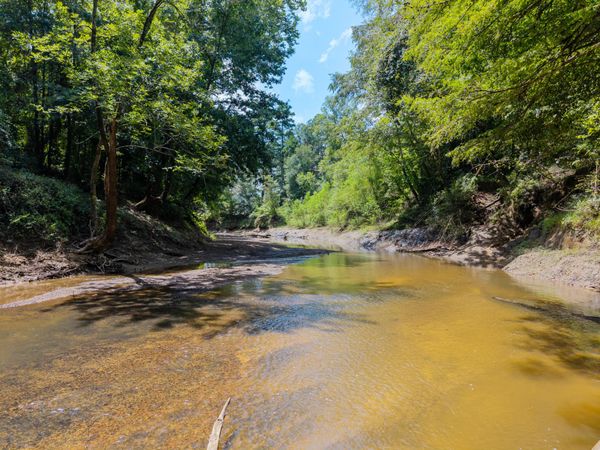 3.2 acres Bahala CRK Old Hwy 27N, Monticello, MS 39654