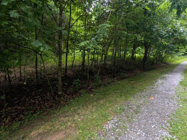 Tbd Explorer Ln, Hillsboro, WV 24946