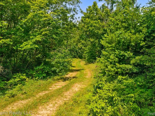 VL McKee Road, Vienna Township, Mi 49751