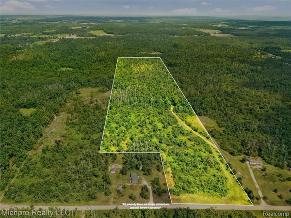 VL McKee Road, Vienna Township, Mi 49751