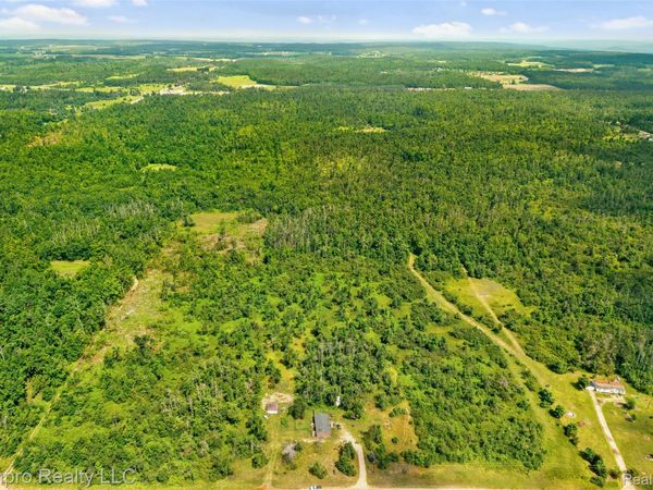 VL McKee Road, Vienna Township, Mi 49751