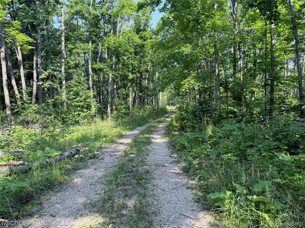 VL McKee Road, Vienna Township, Mi 49751