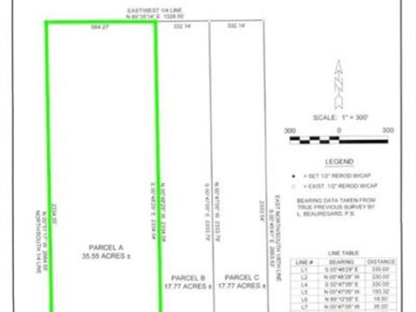 VL McKee Road, Vienna Twp, MI 49751