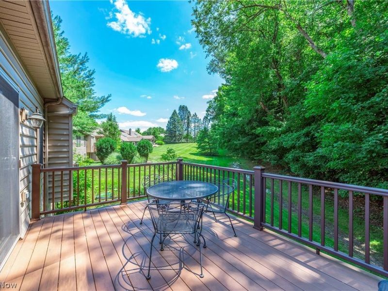 111 Cliffside Drive, Wakeman, OH 44889 Photo 43