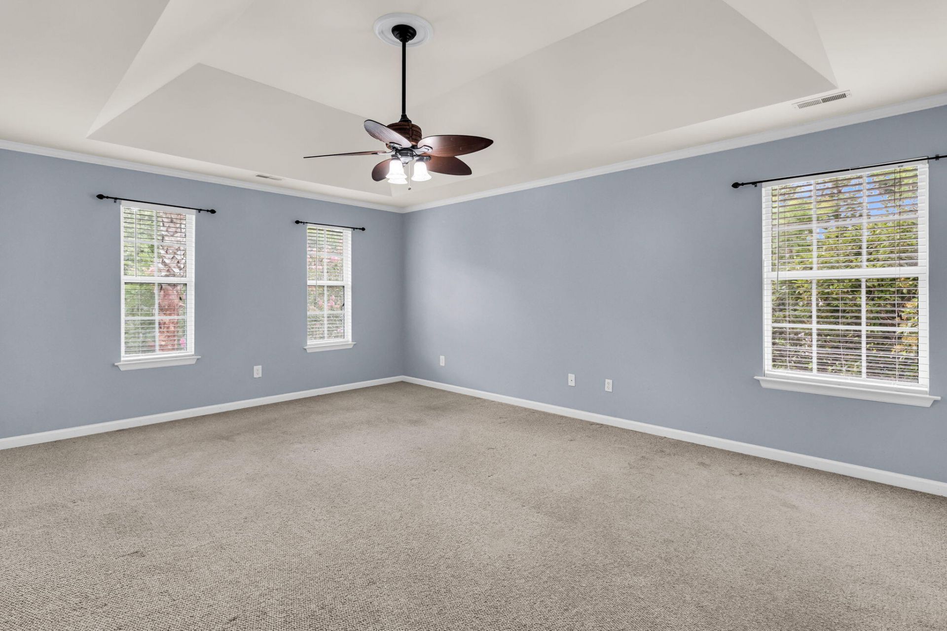 2905 Leatherleaf Court Photo 26