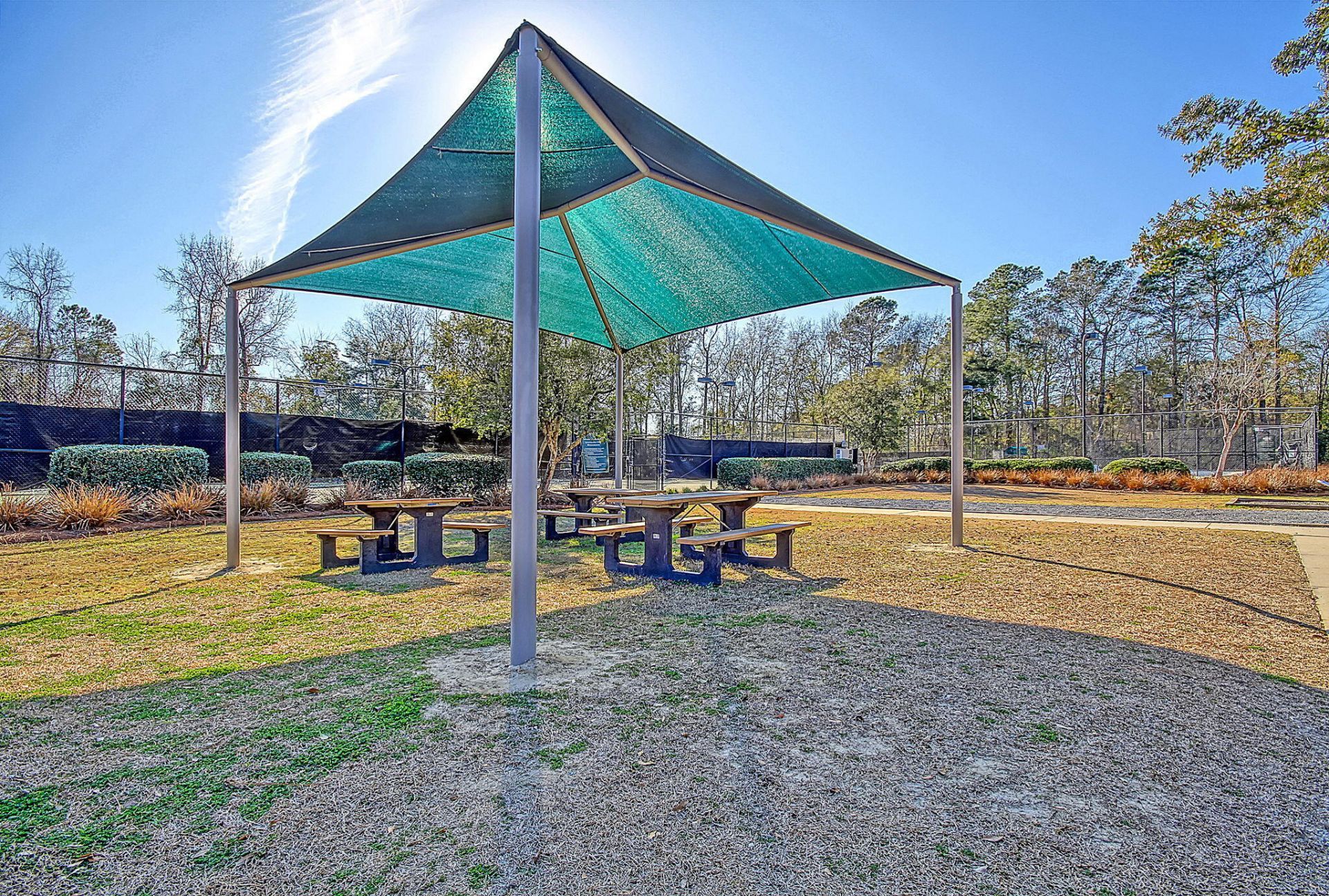 2905 Leatherleaf Court Photo 54