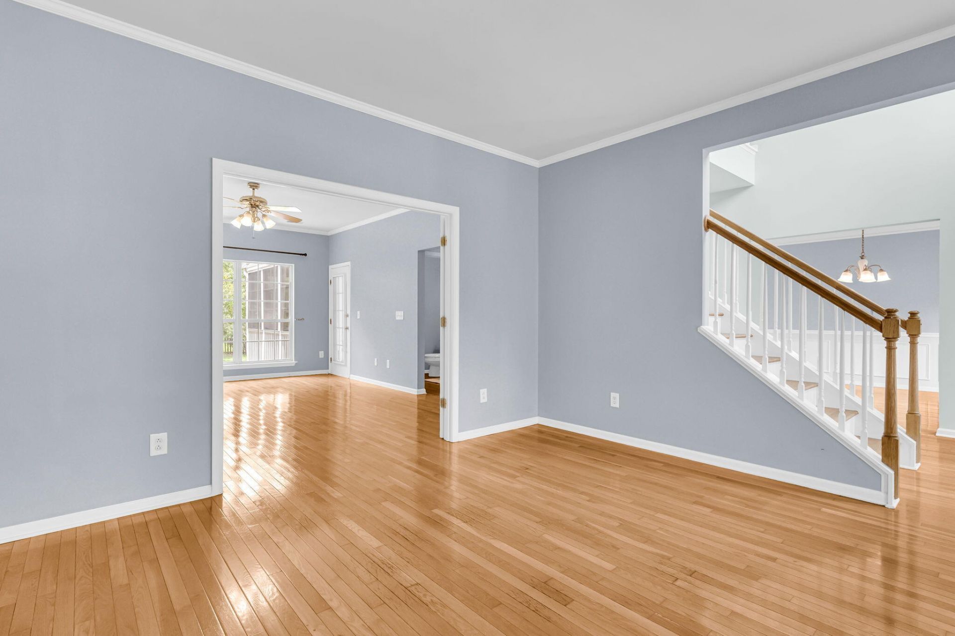 2905 Leatherleaf Court Photo 8