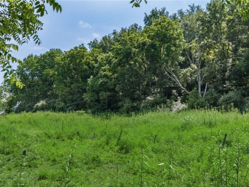 3200 Woodyard Road, Stockport, OH 43787 Photo 12