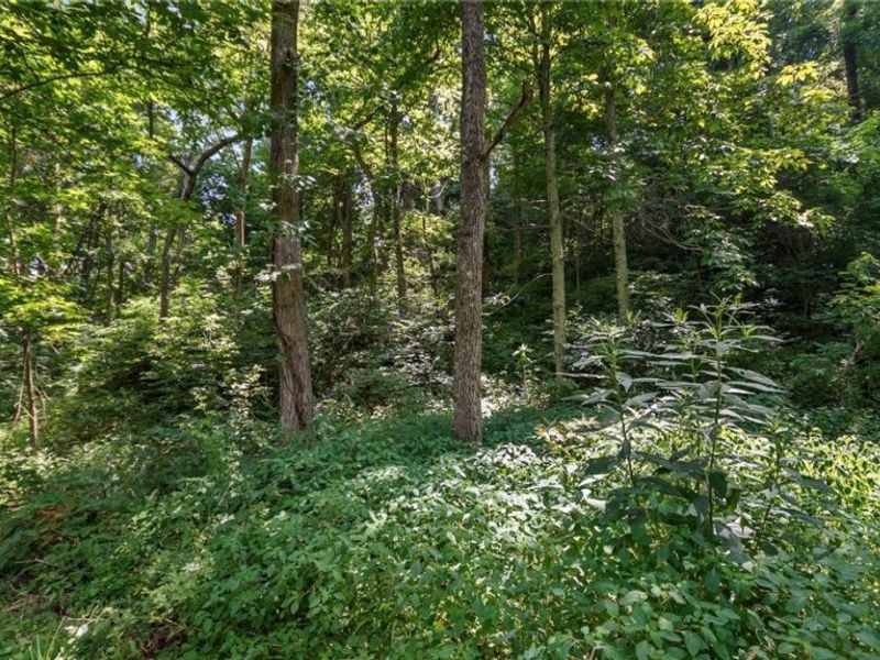 3200 Woodyard Road, Stockport, OH 43787 Photo 2