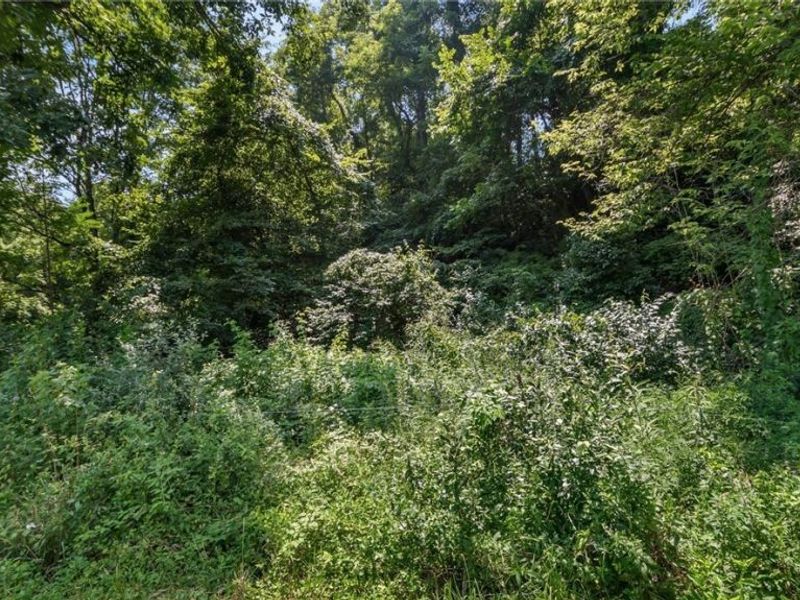 3200 Woodyard Road, Stockport, OH 43787 Photo 3